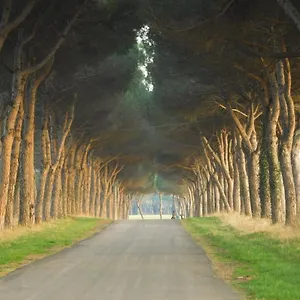Pigreco Affittacamere